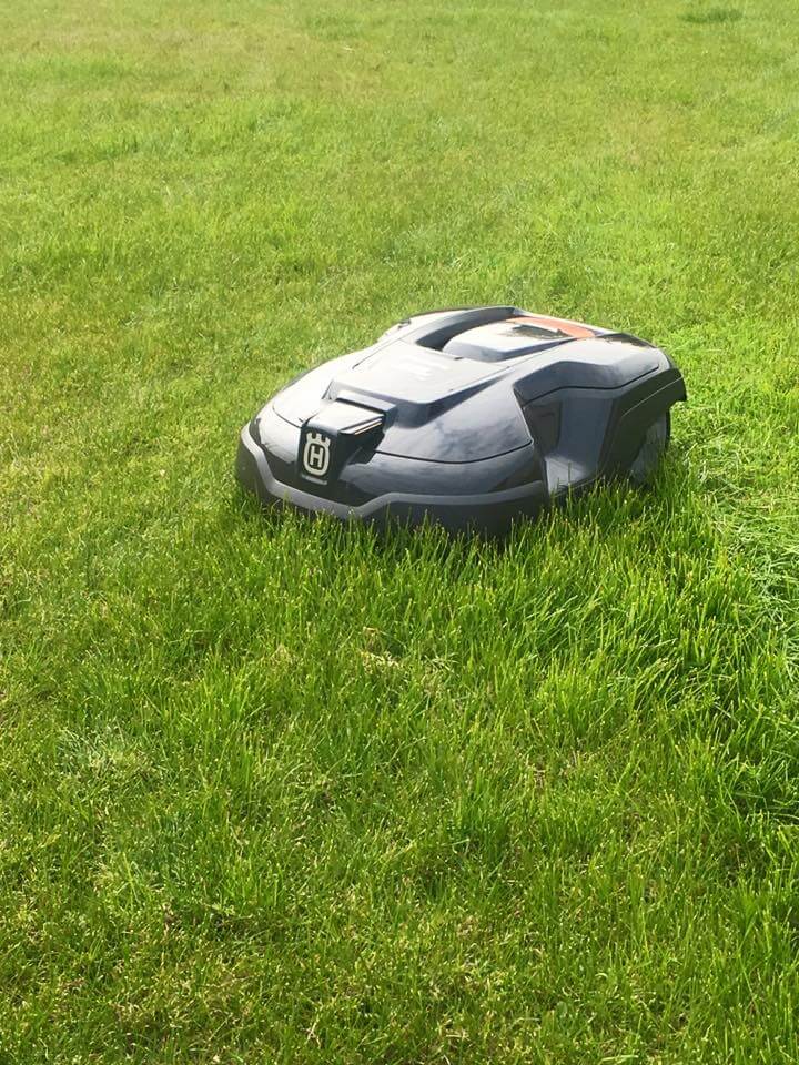 Gazon met maairobot en beplanting