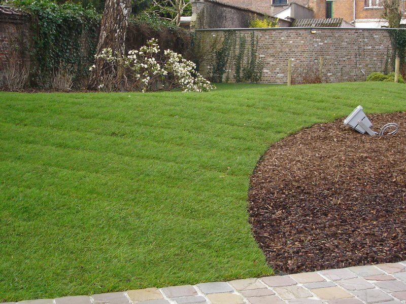 Aangelegde tuin met gazon, borders en haagstructuur