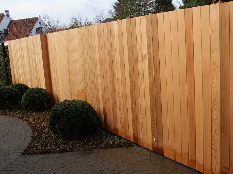 Border met vaste planten en siergrassen