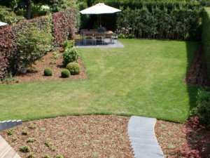 Tuinpad tussen beplanting