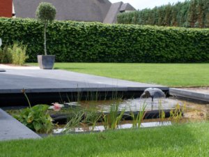 Detail van beplanting en verharding